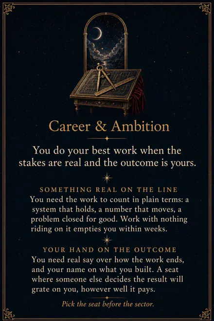 The Career and Ambition page of a sample Edition